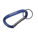 Carabiner Hook Keyring