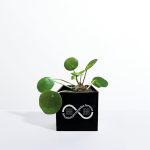 Aluminium Desktop Plant