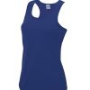 jc015 royalblue ft2