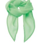 Chiffon Scarf