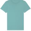 sx002 tealmonstera ft