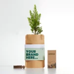 Grow Your Own Christmas Tree Kit