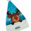 Santa Hats - Christmas